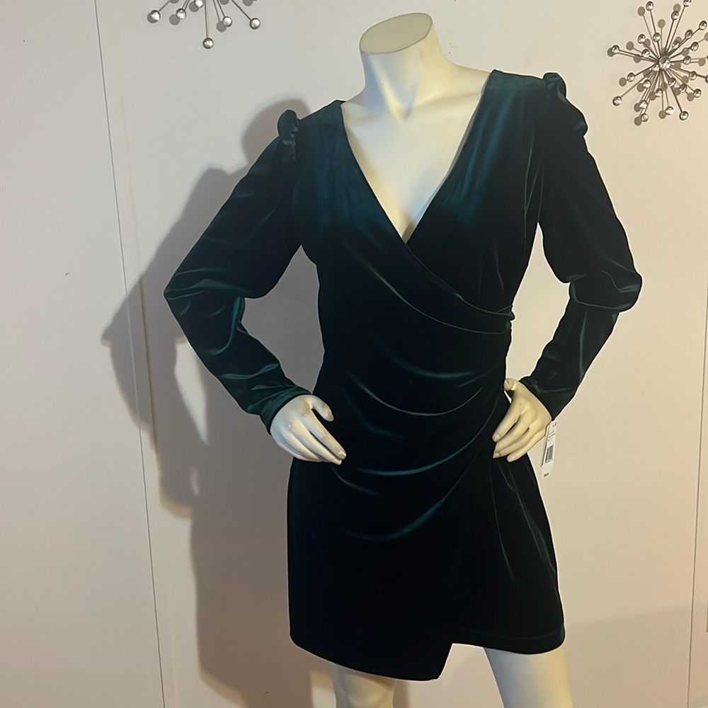 NWT Pear Culture Velvet Mini Dress